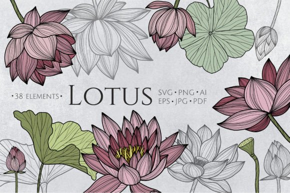 Download Lotus Flowers SVG Line Art - Premium Resources